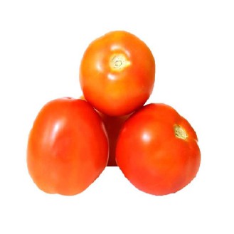 Tomato | Tamatar | Tameta