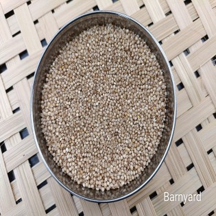 Barnyard Millet 500gm | सांवा | સામો | Unpolished