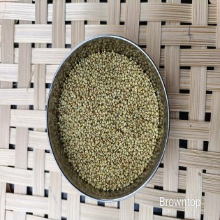 Browntop Millet 500gm | मुराद | હરી કાંગ | Unpolished