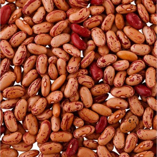 Rajma Chitra 500gms | Kidney beans 500gms 