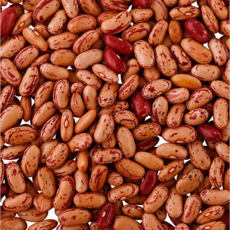 Rajma Chitra 500gms | Kidney beans 500gms 