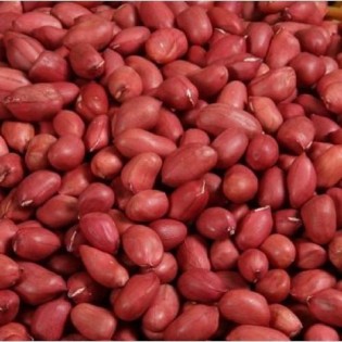 Groundnut 500gm | Sing Dhana