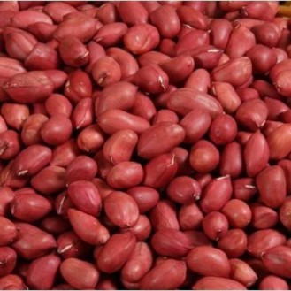 Groundnut 500gm | Sing Dhana