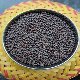 Mustard Seeds Big | Rai Big | 250gm