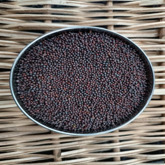 Mustard Seeds | Rai Small | 500gm